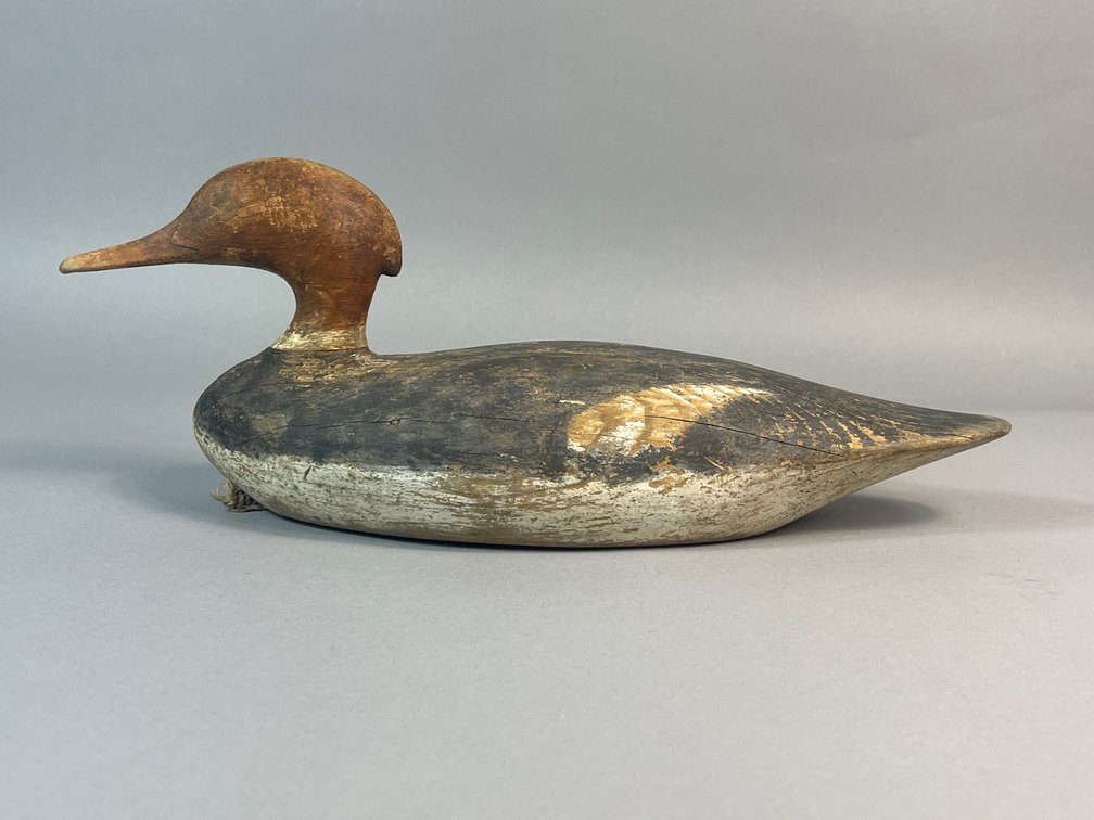 Massachusetts, Merganser