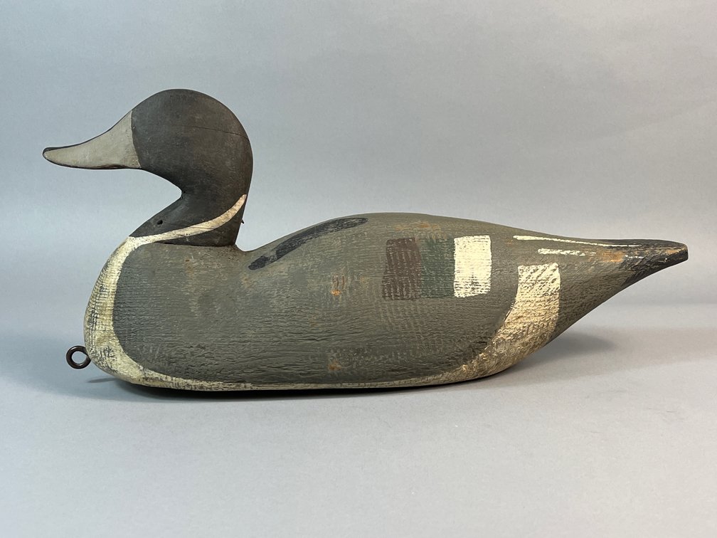 Attd to Wayne Waterfield, VA Beach, VA, Pintail 