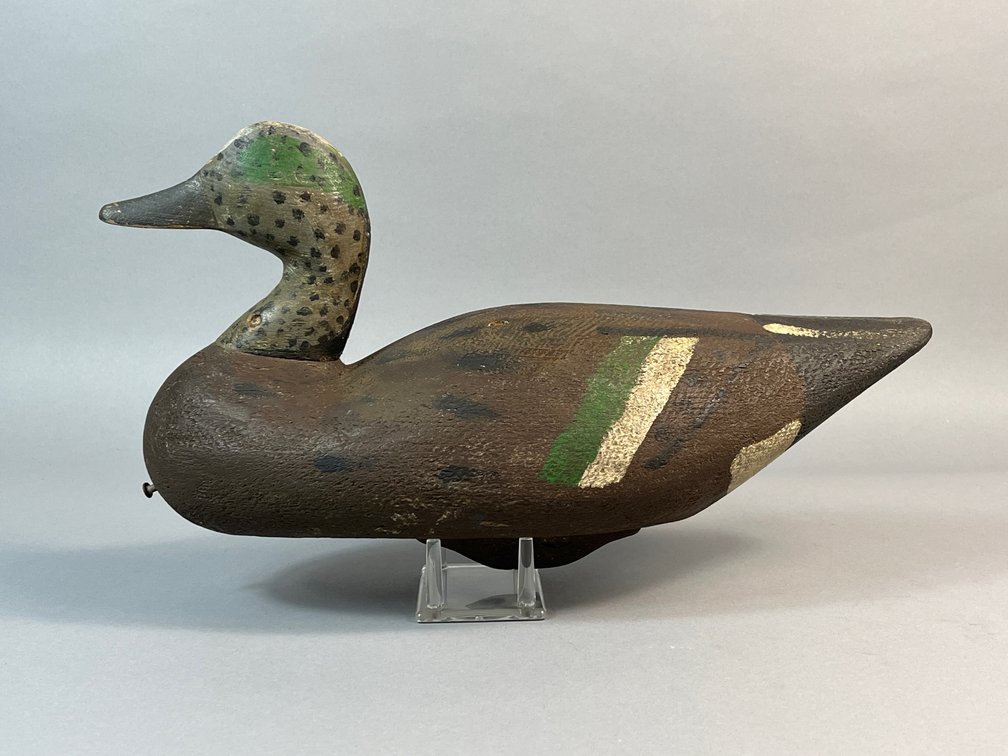 North Carolina, Widgeon