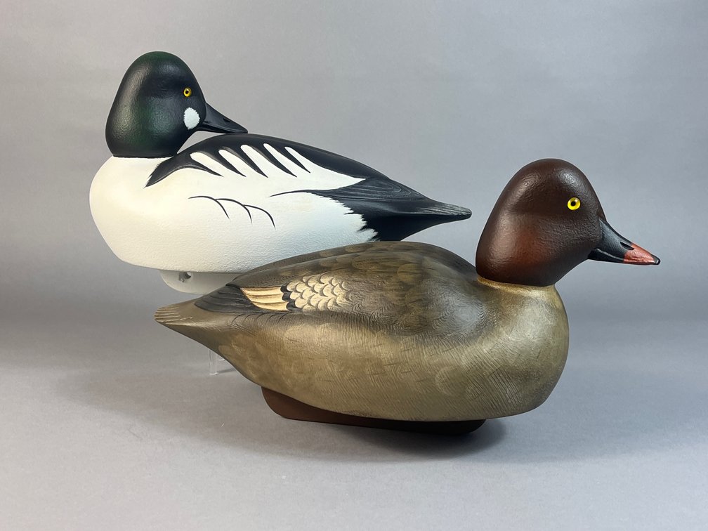 Darkfeather Freedman, Michigan, Goldeneye Pair