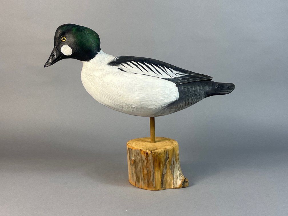 Mike Borrett, Madison, WI, Goldeneye
