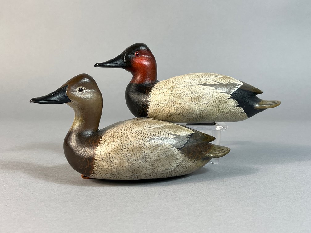 John Wood, Venice, FL, Canvasback Pair