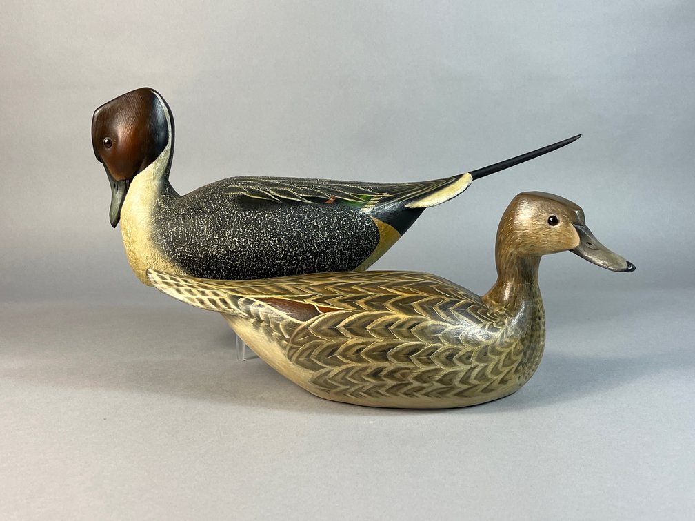 Bill “Old Skool Willie” Kennedy, MD/TX, Pintail Pair