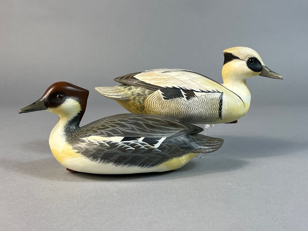 John Wood, Venice, FL, Smew Pair