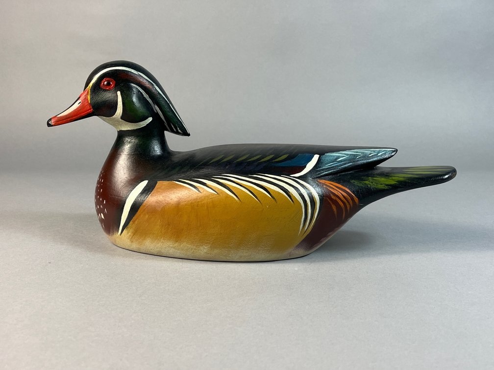 Mike Borrett, Madison, WI, Wood Duck