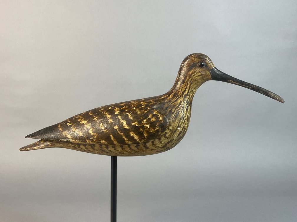 Frank Finney, Cape Charles, VA, Shorebird 