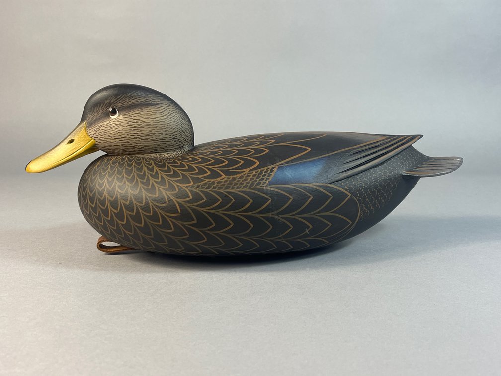 Rick Brown, Ocean City, NJ, Black duck 
