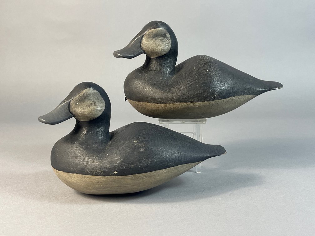 Roy Bull, Cape Charles, VA, Ruddy Duck Pair