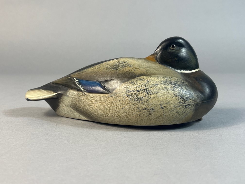 Sean Sutton, Paulsboro, NJ, Mallard