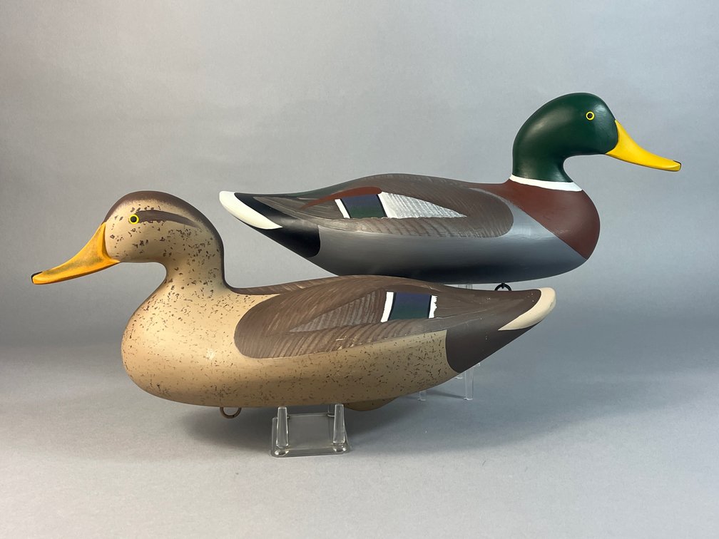 Bill Collins, Havre de Grace, MD, Mallard Pair
