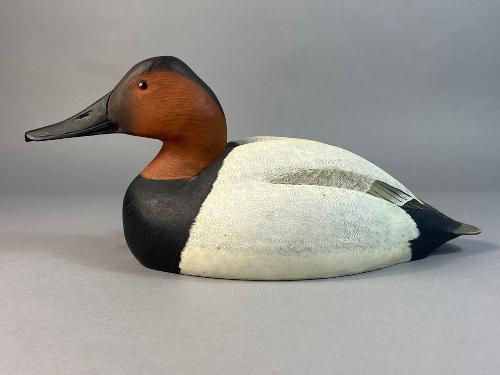J. Corb Reed, Chincoteague, VA, Canvasback
