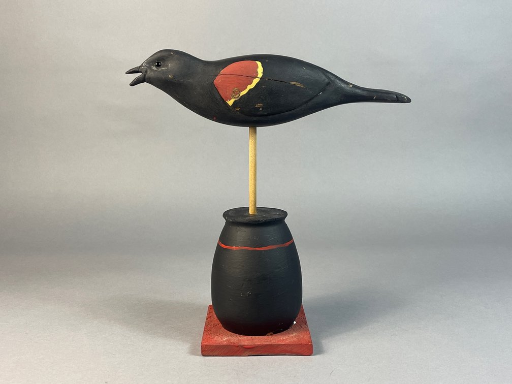 Redwing Blackbird, Unknown