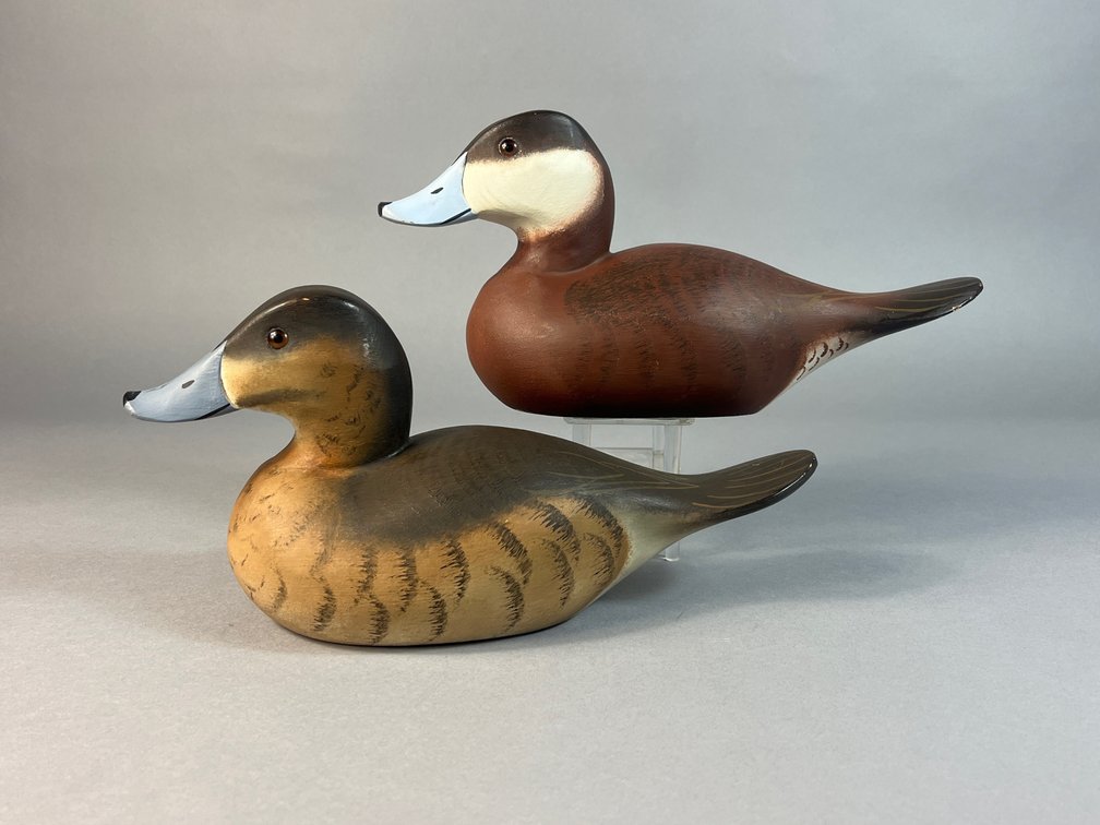 John Meredith, Worton, MD, Ruddy Duck Pair