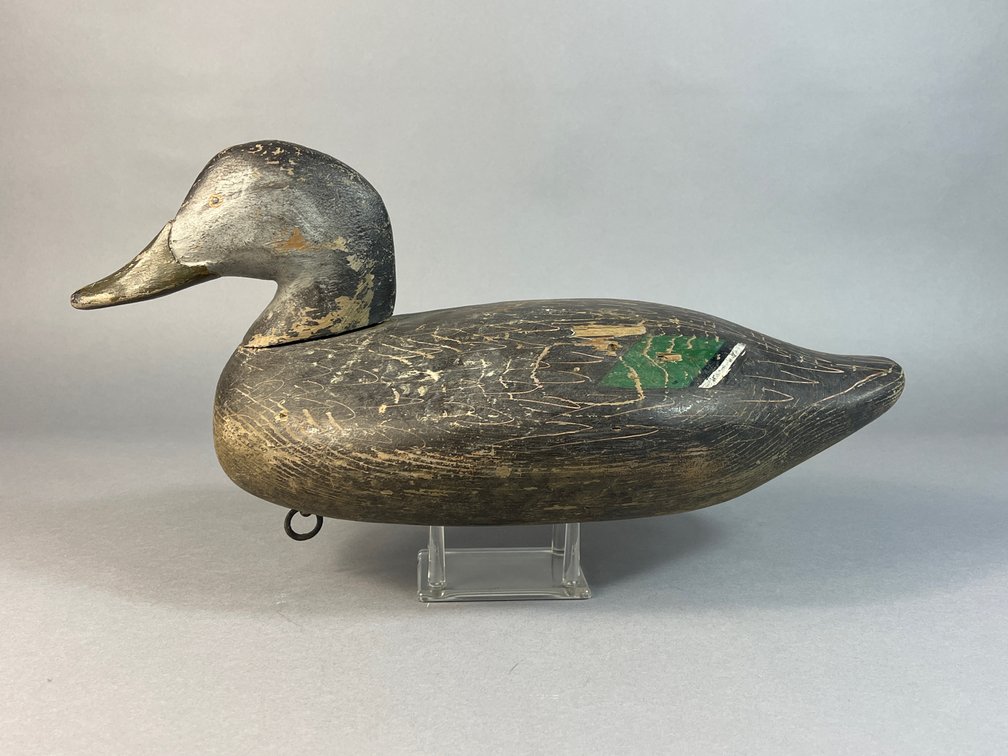 Jim Currier, Havre de Grace, MD, Black Duck