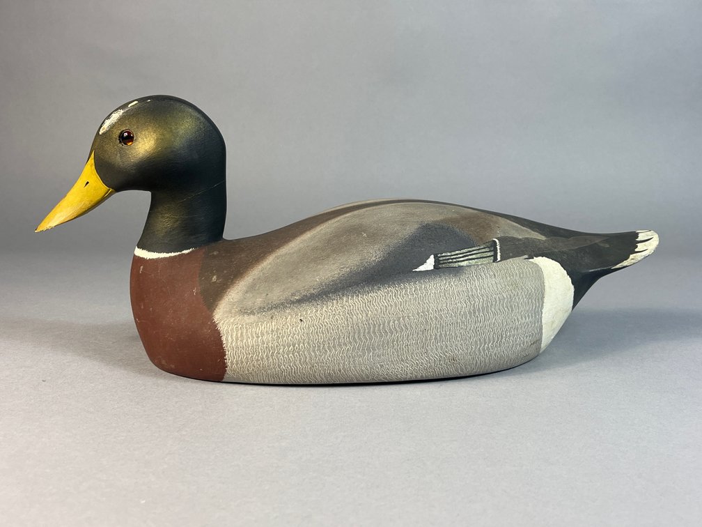Ken Harris, Woodville, NY, Mallard 