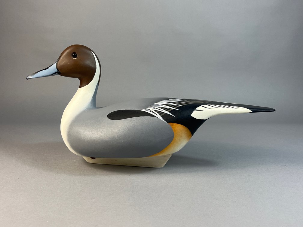 Bill Schauber, Chestertown, MD, Pintail 