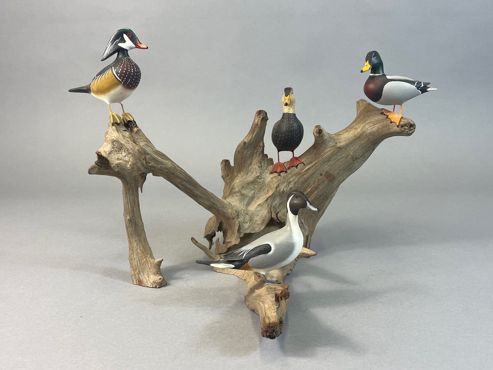 Allan Schauber, Chestertown, MD, Duck Tree
