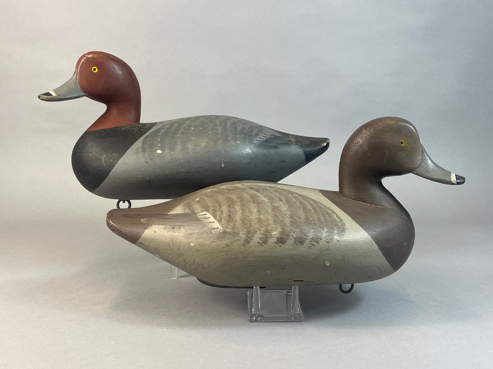 Charlie Bryan, Middle River, MD, Redhead Pair