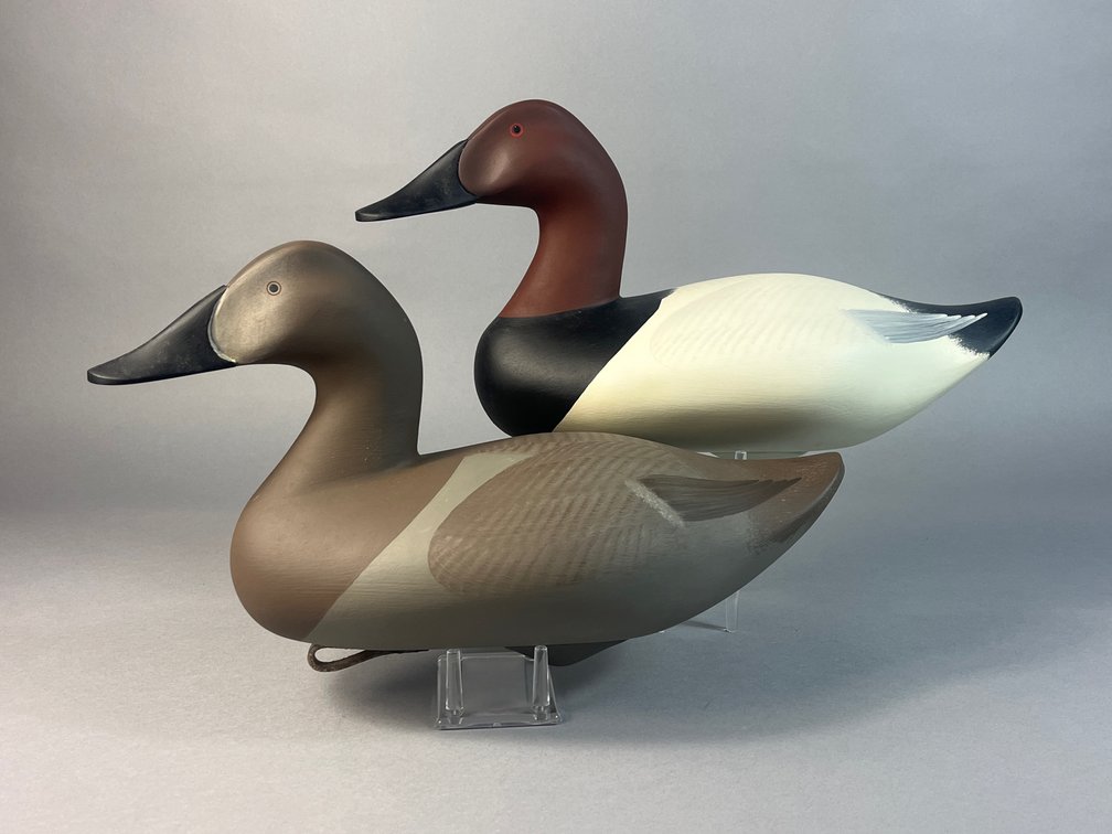 Dan Carson, Havre de Gracd, MD, Canvasback Pair