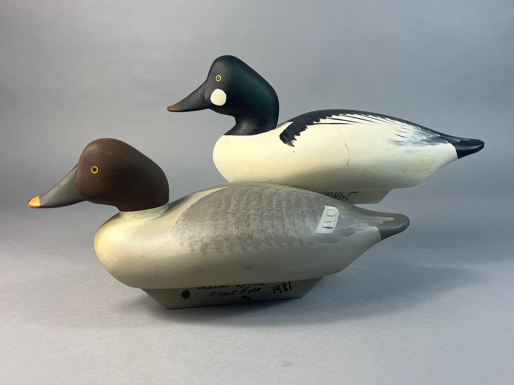 Charlie Bryan, Middle River, MD, Goldeneye Pair