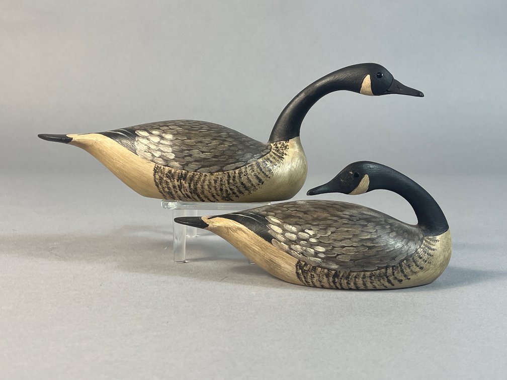 Byron Bruffee, Massachusetts, Canada Geese