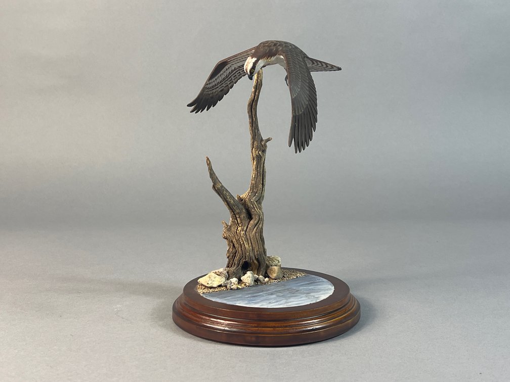 William Reinbold, Chestertown, MD, Osprey