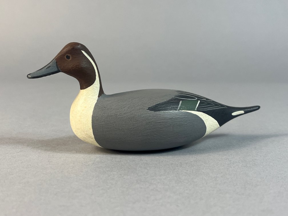 George Strunk, Glendora, NJ, Pintail