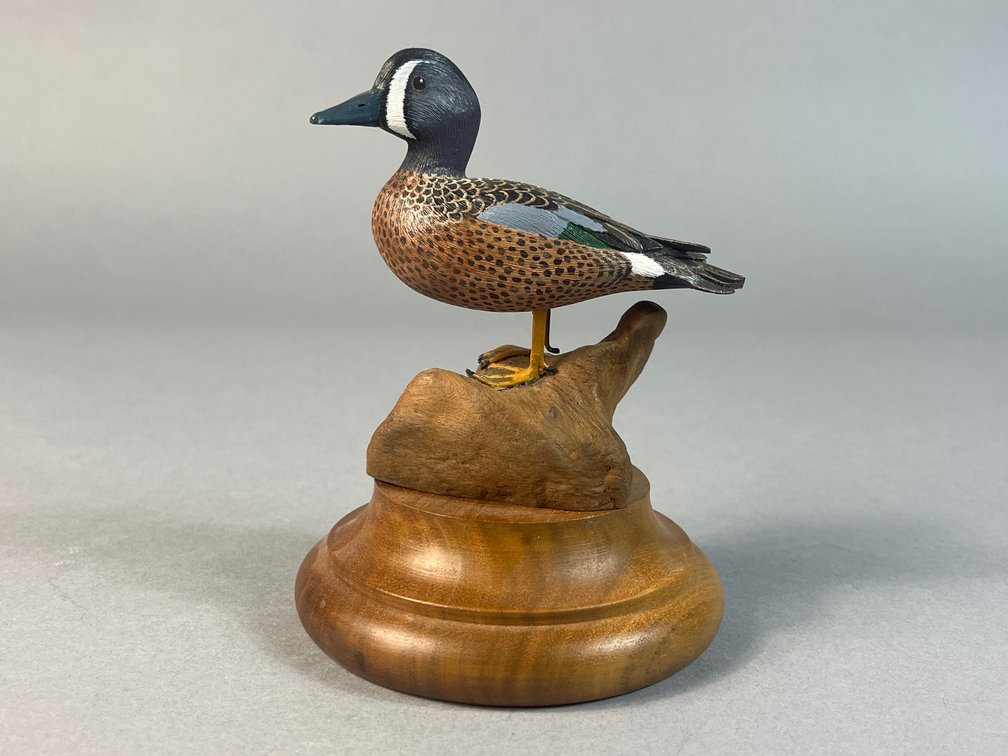 Charles R Berry, Salisbury, MD, Blue Wing Teal