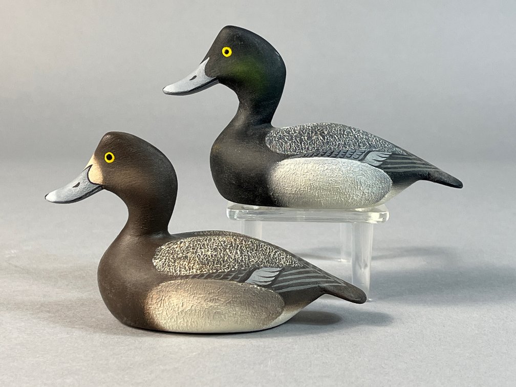 David E Carroll, Chestertown, MD, Bluebill Pair