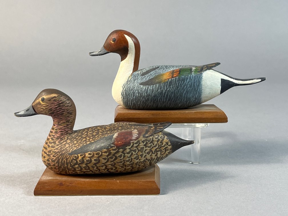 Joe Fallon, Havre de Grace, MD, Pintail Pair