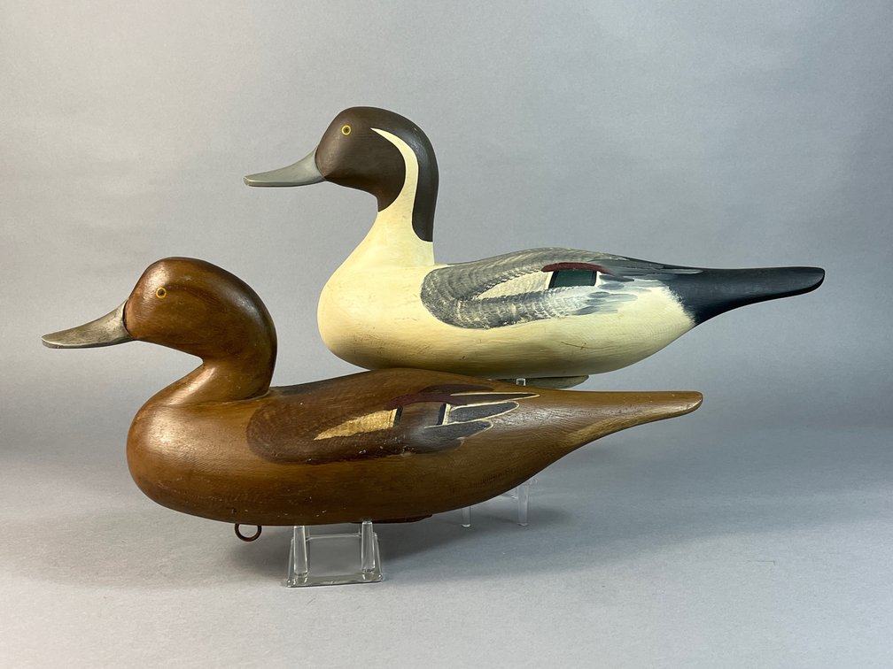 Paul Gibson, Havre de Grace, MD, Pintail Pair