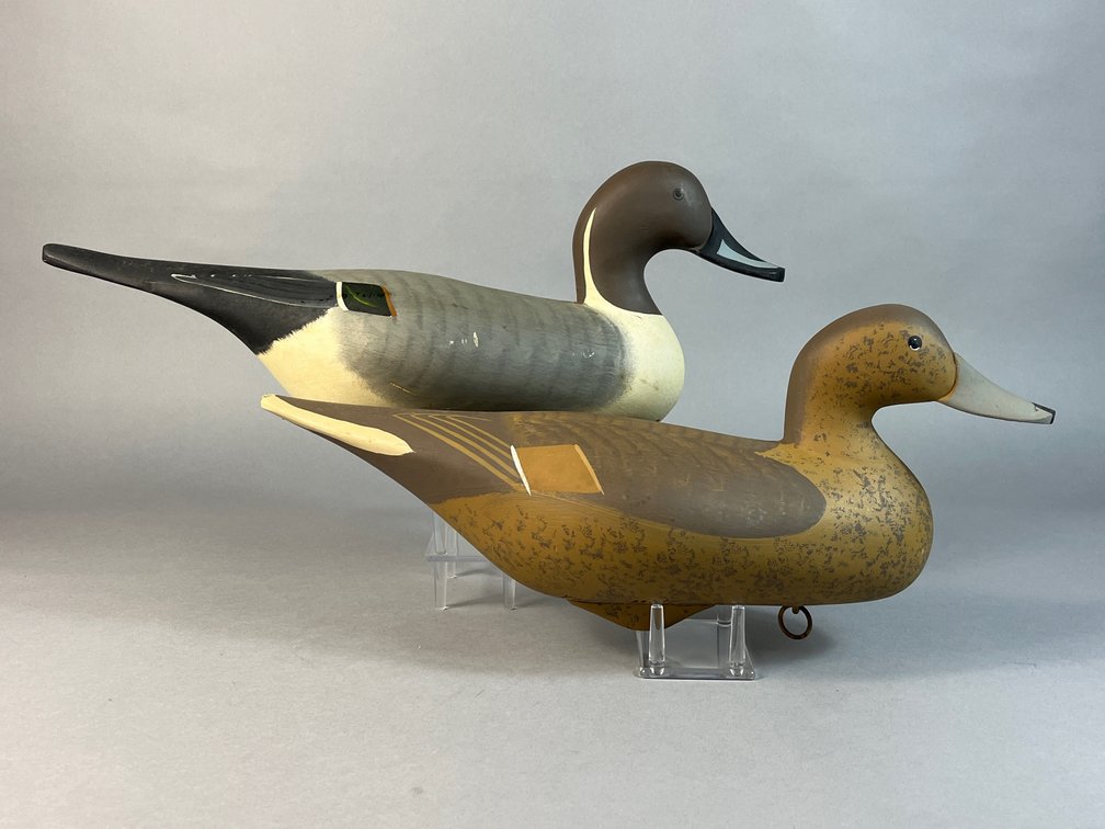 Gilmore Wagoner, Havre de Grace, MD, Pintail Pair 