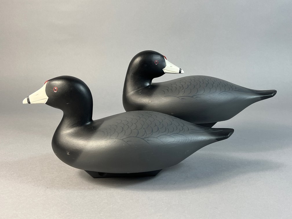 Charlie Bryan, Middle River, MD, Coot Pair 