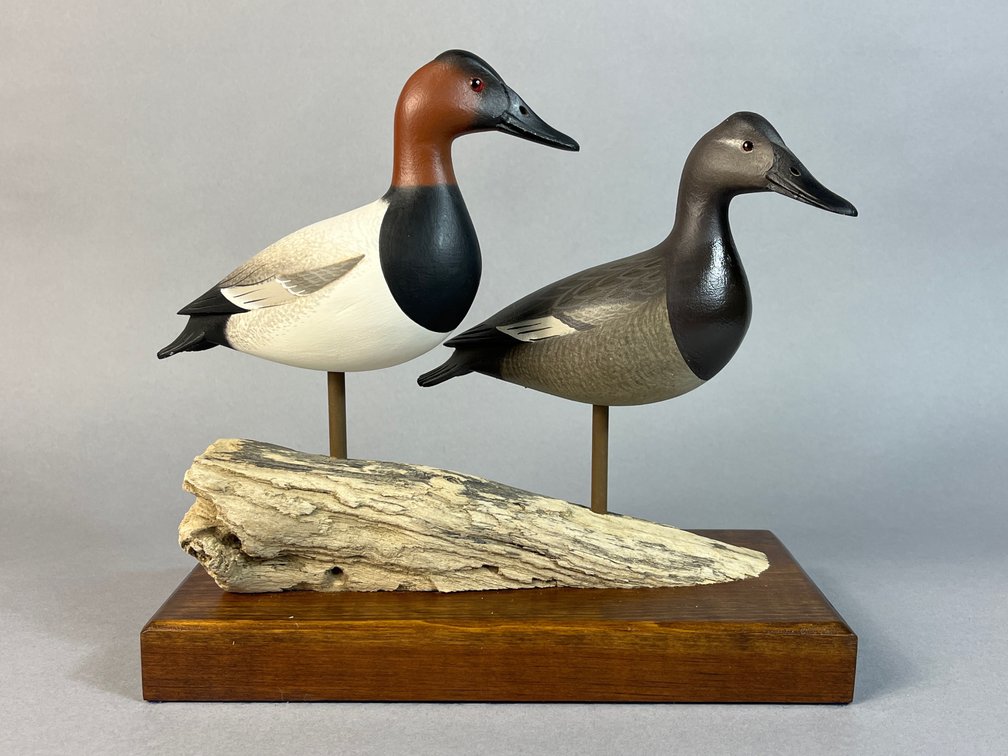 Rick Brown, Ocean City, NJ, Canvasback Pair