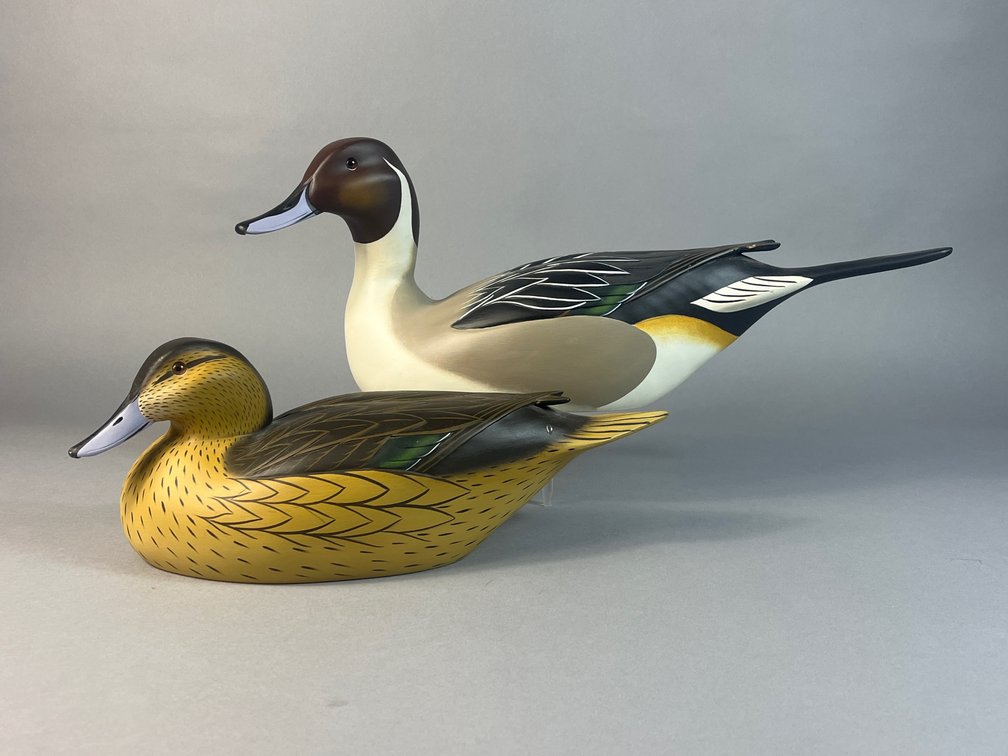 John Meredith, Worton, MD, Pintail Pair