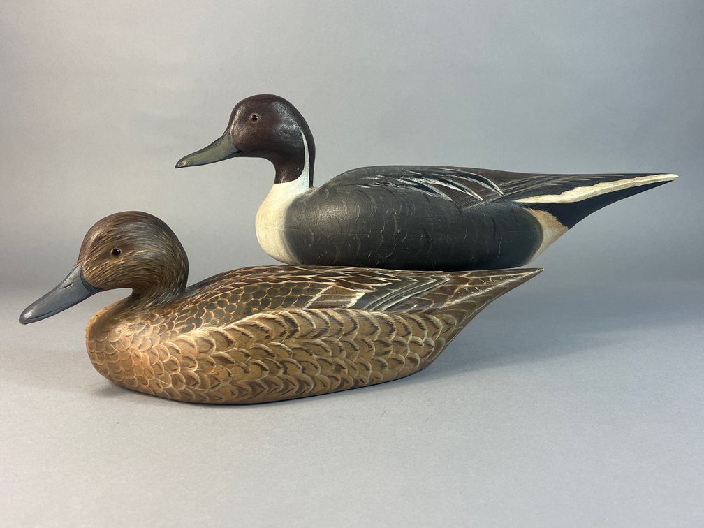 Dave Hawthorne, Salisbury, MD, Pintail Pair