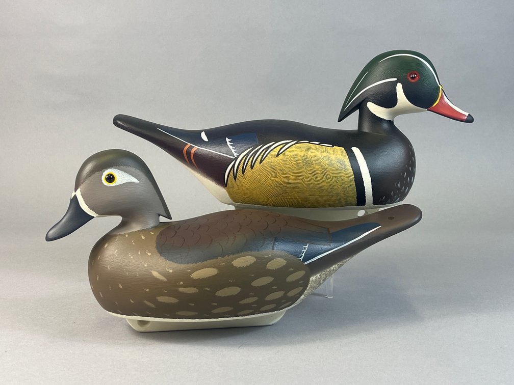 Bryan Bodt, Churchville, MD, Wood Duck Pair