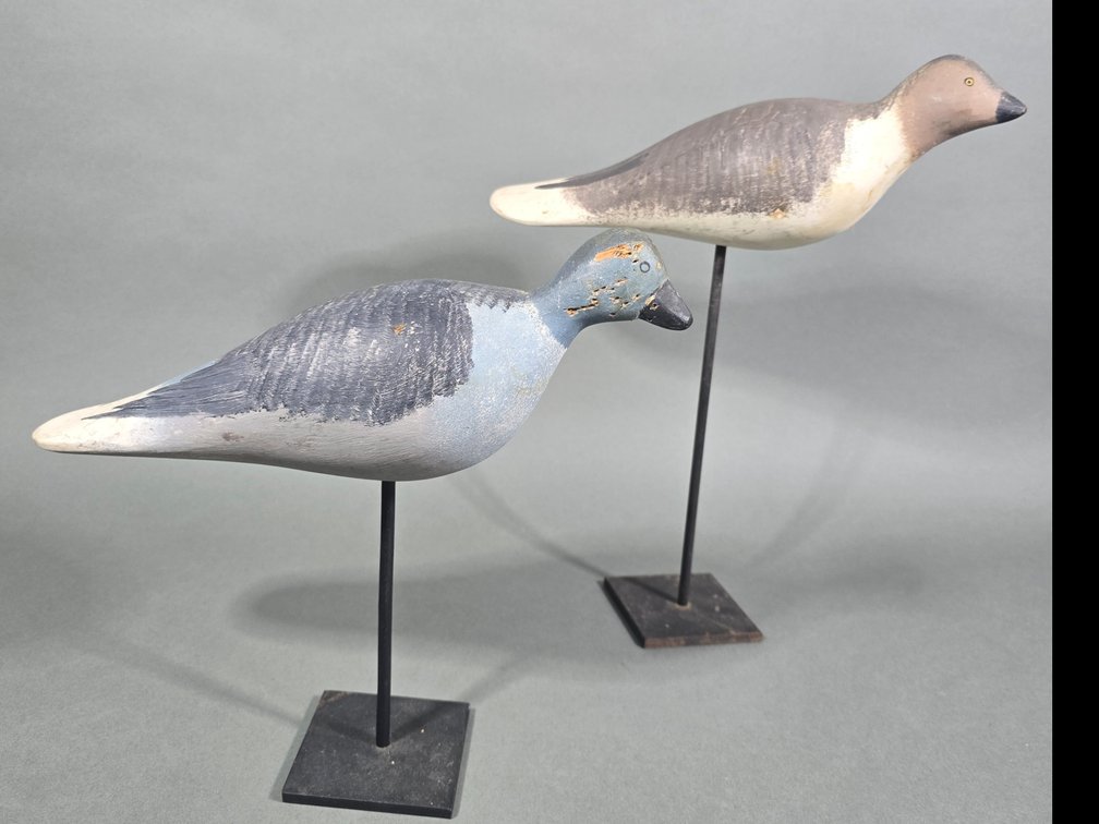 Pigeon Pair From The Upper Chesapeake Bay