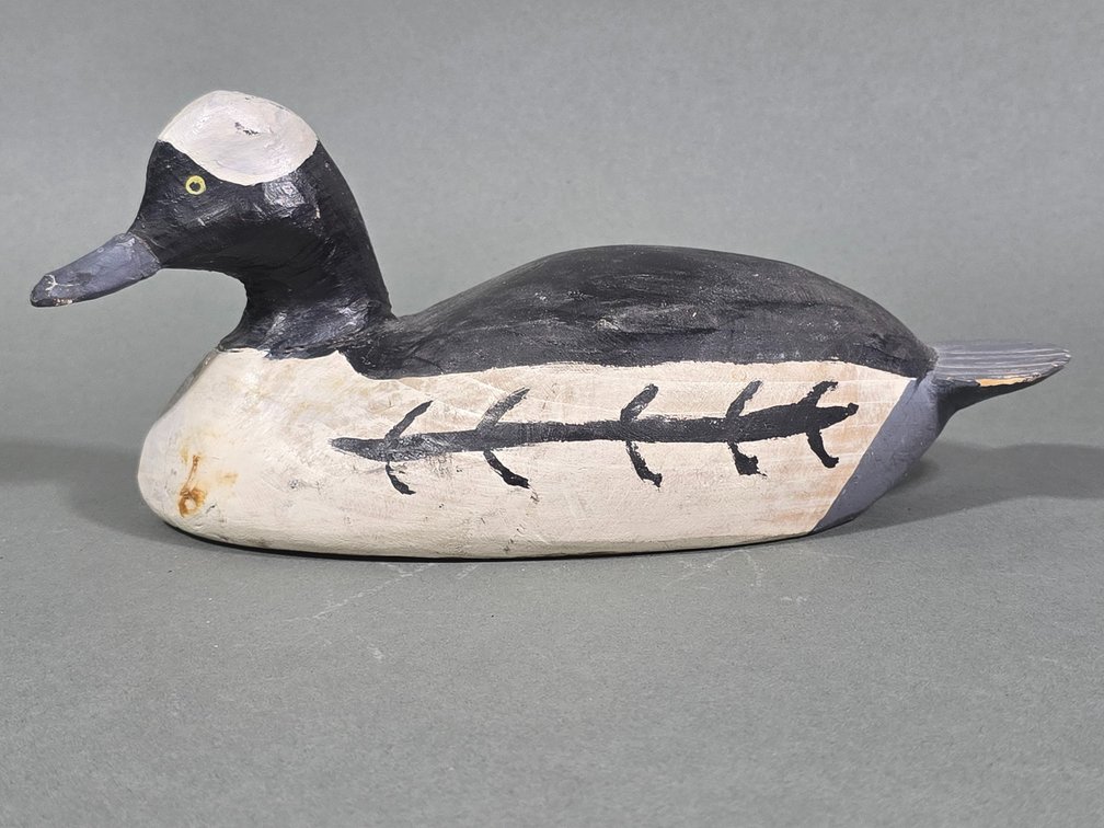 Ira C. Hudson "Glorybound" Chincoteague,  VA Bufflehead