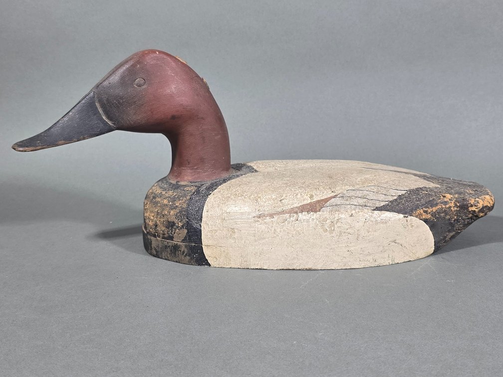 Lloyd Sterling,  Crisfield,  MD Canvasback
