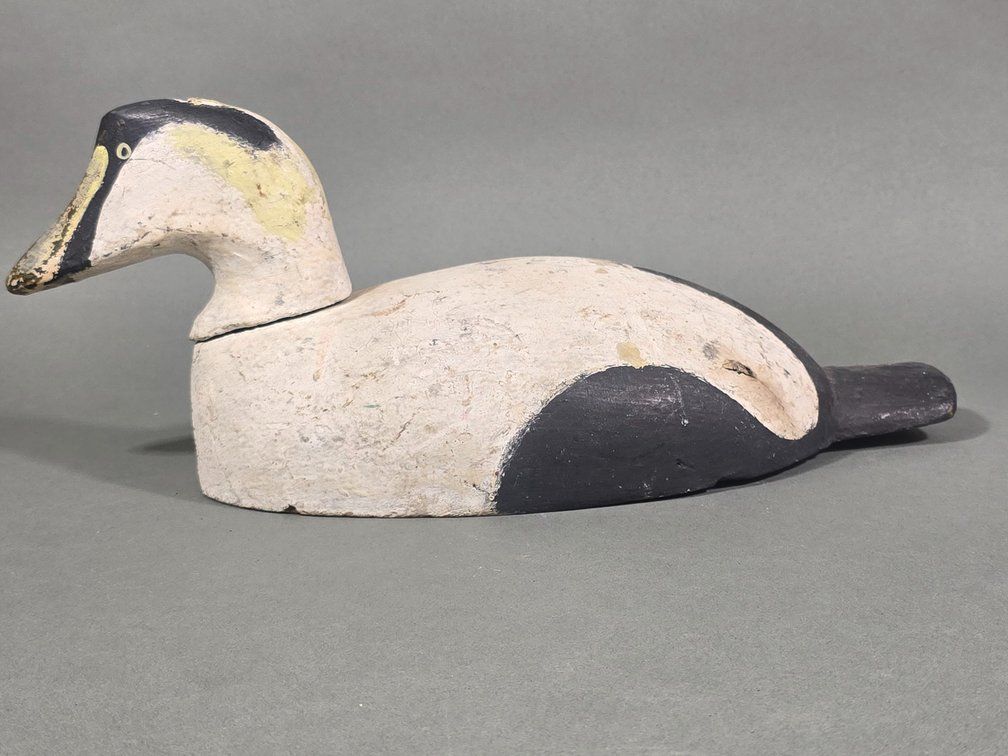 Eider, Unknown Maker