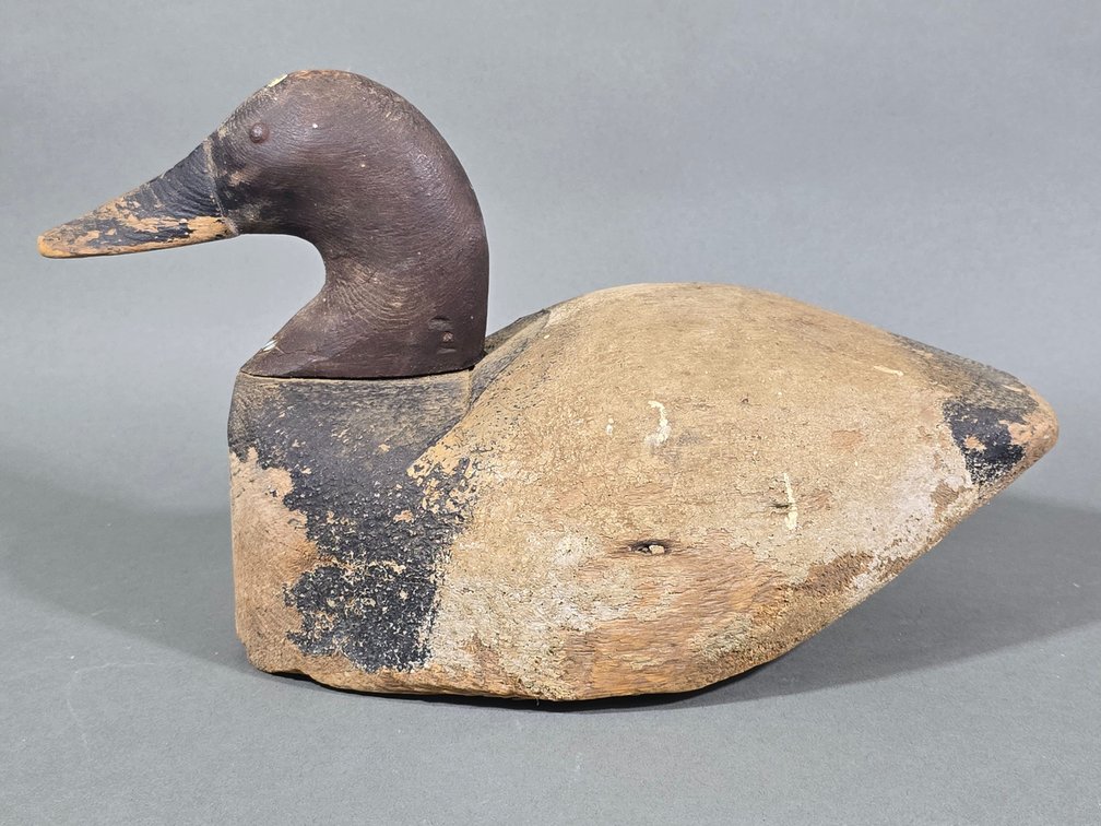 Canvasback, Unknown Maker