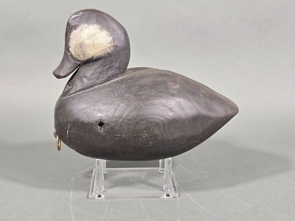 Ruddy Duck, Unknown Maker