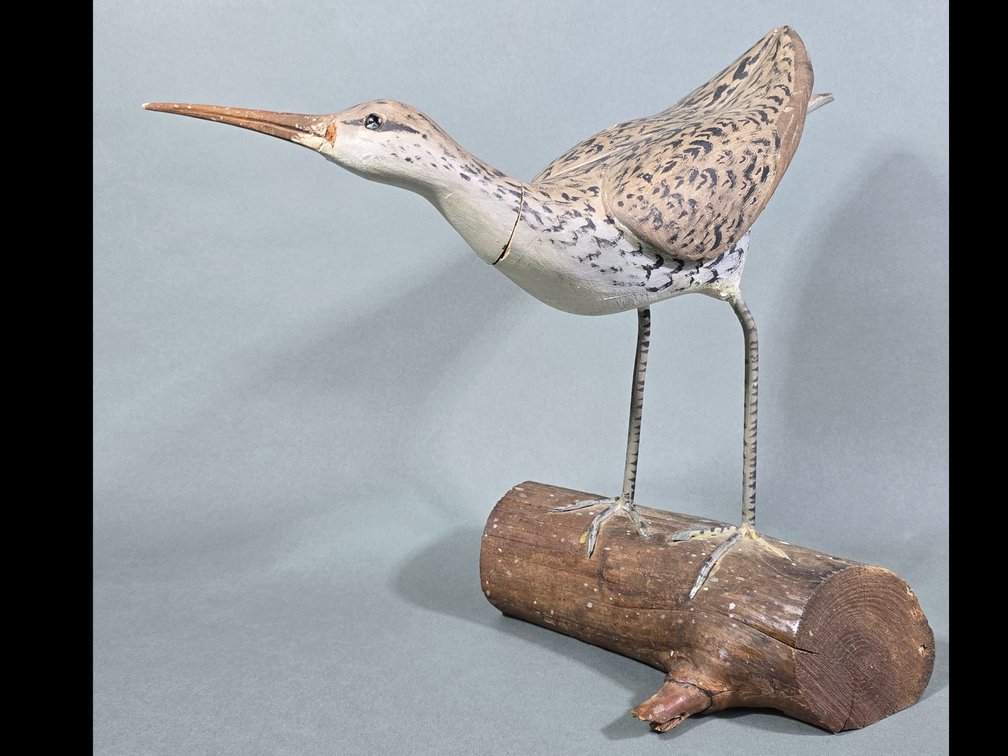Shorebird, Unknown Maker