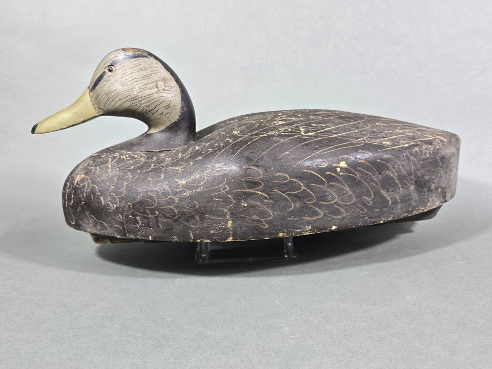 Black Duck by Unknown Maker