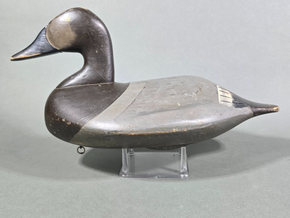 Butch Parker,  Holtwood, PA Canvasback