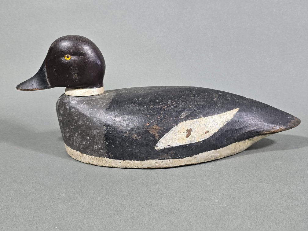 Sam Denny, Clayton, NY Goldeneye