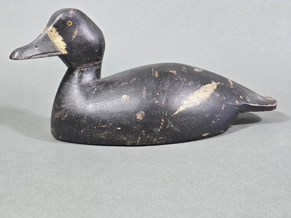 Bob Dingman, New York Bluebill