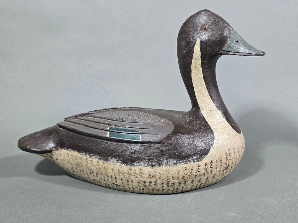 Philippe Guyon, Quebec  Canada Pintail
