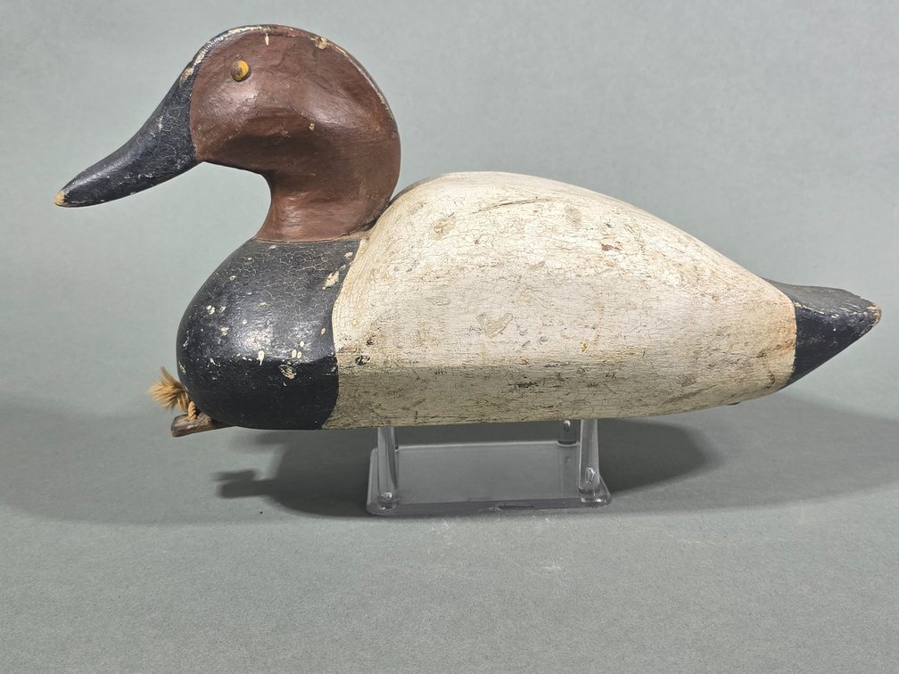 Louis Merk, Peoria, Ill Canvasback